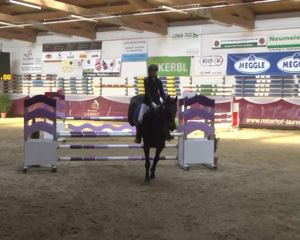 Reitturnier Eicherloh RH Laurent 2017