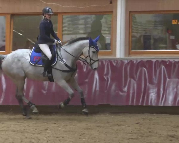 Reitturnier Eicherloh RH Laurent 2017