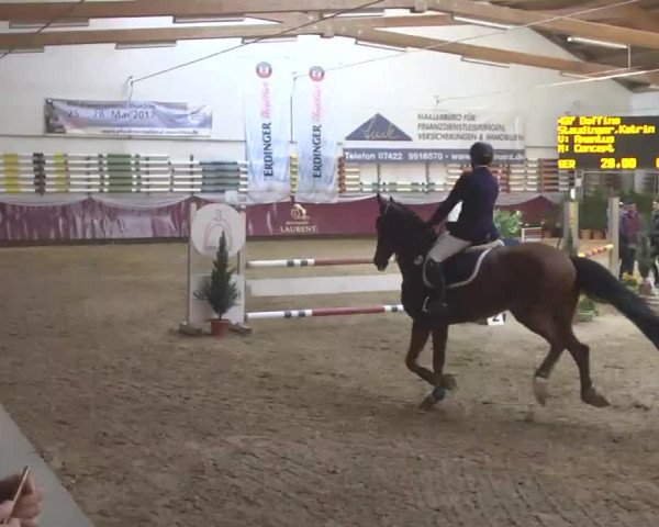 Reitturnier Eicherloh RH Laurent 2017
