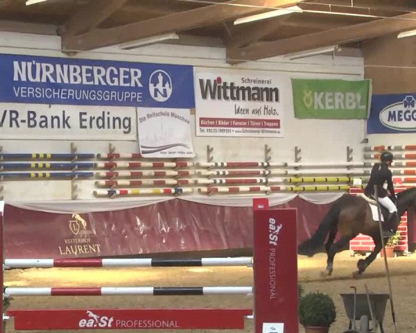 Reitturnier Eicherloh RH Laurent 2017
