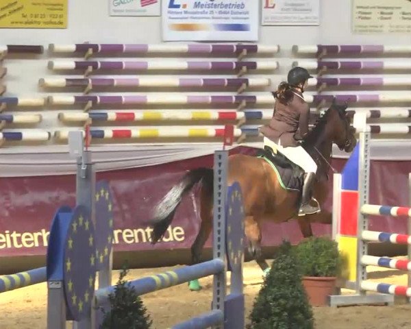 Reitturnier Eicherloh RH Laurent 2017