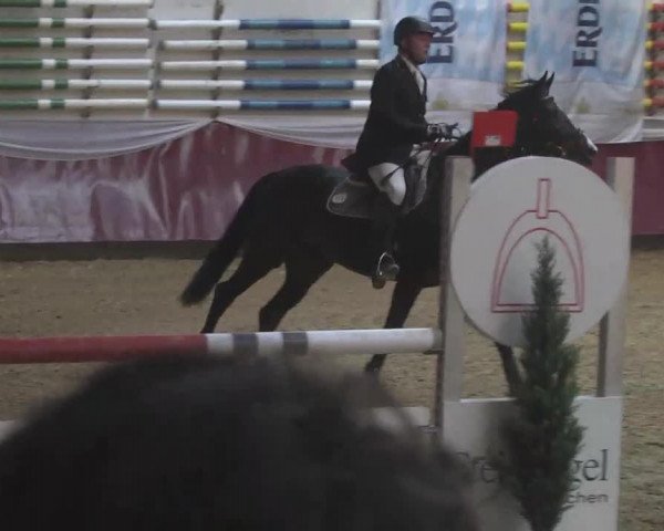 Reitturnier Eicherloh RH Laurent 2017