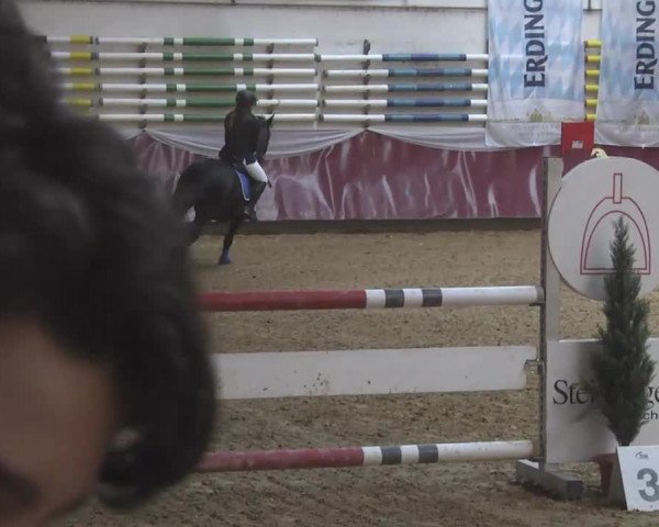 Reitturnier Eicherloh RH Laurent 2017
