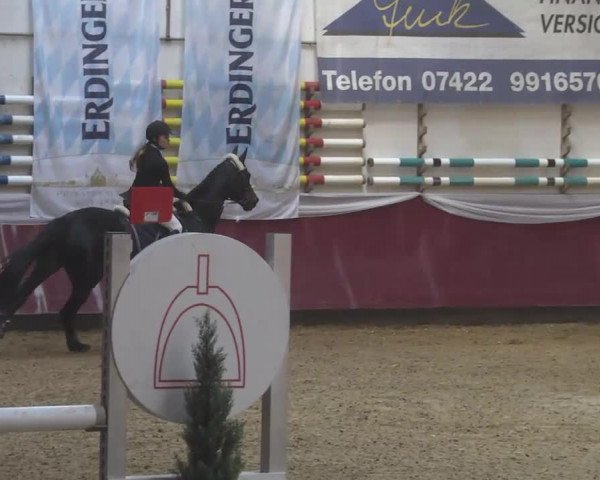 Reitturnier Eicherloh RH Laurent 2017