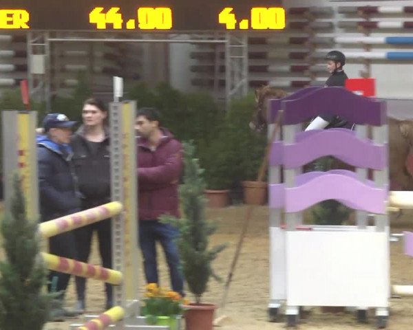 Reitturnier Eicherloh RH Laurent 2017