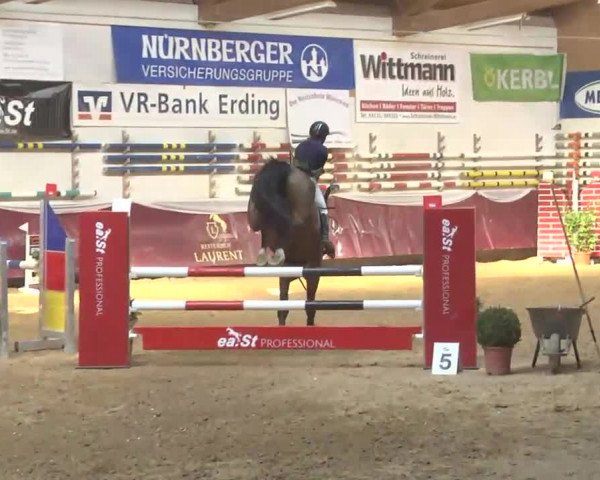 Reitturnier Eicherloh RH Laurent 2017