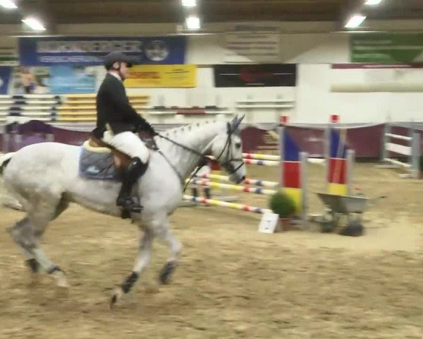 Reitturnier Eicherloh RH Laurent 2017