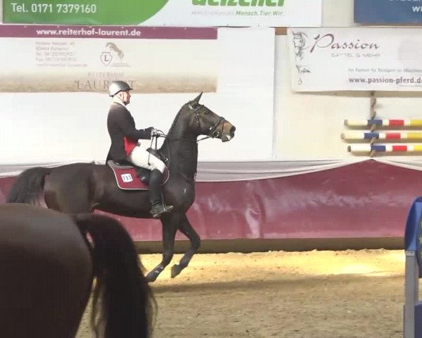 Reitturnier Eicherloh RH Laurent 2017