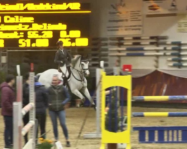 Reitturnier Eicherloh RH Laurent 2017