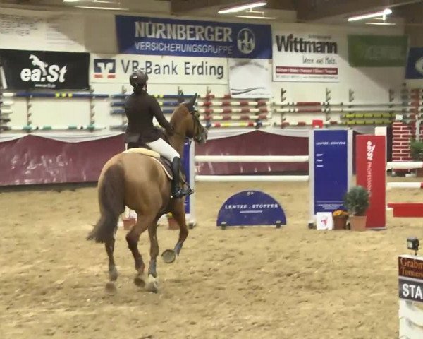 Reitturnier Eicherloh RH Laurent 2017