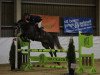 jumper Stak Cornet (Oldenburg show jumper, 2014, from Stakkato)