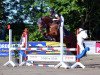 jumper Abbygale 4 (German Sport Horse, 2010, from Acadius)