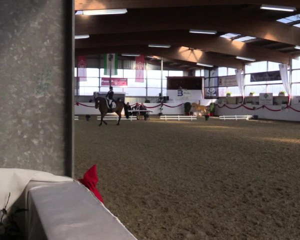 Reitturnier Rhede-Krommert 2017