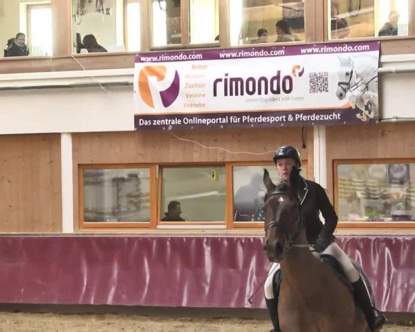 Reitturnier Eicherloh RH Laurent 2017
