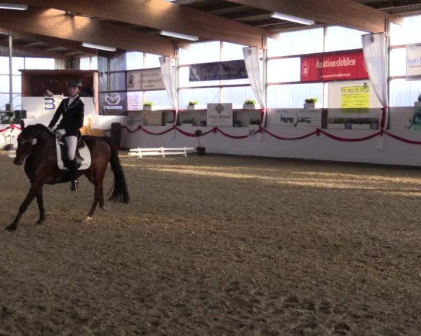 Reitturnier Rhede-Krommert 2017
