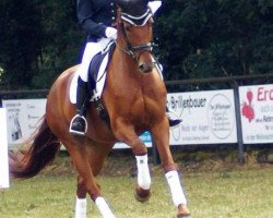 dressage horse Séla Si (Oldenburg, 2013, from Susu's Boy)