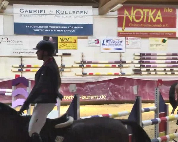 Reitturnier Eicherloh RH Laurent 2017