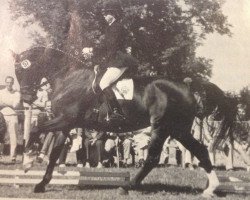 broodmare Rendezvous (Westphalian, 1981, from Ricardo)