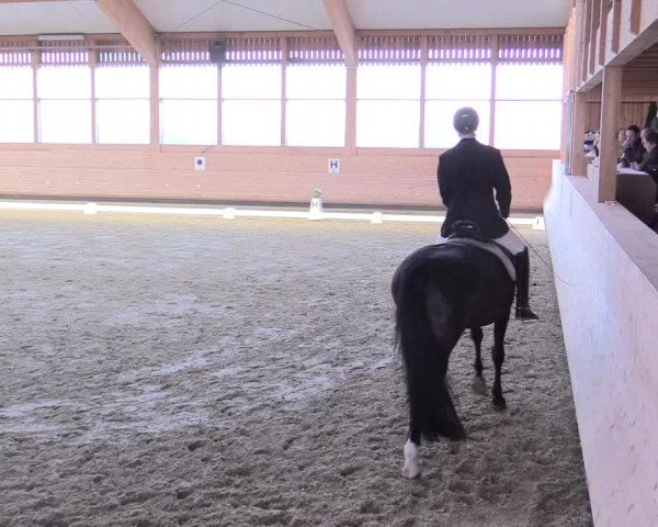 Reitturnier Leudelange-Ecuries des Prés 2017