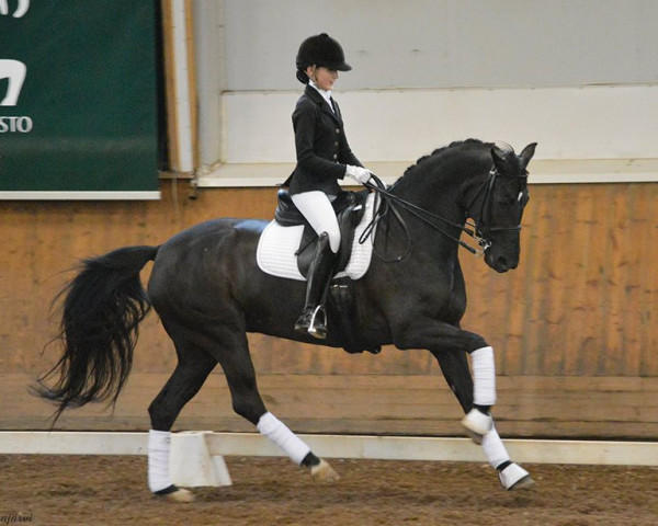 broodmare Fera Mareé (Finnish Warmblood, 2008, from Fernet)