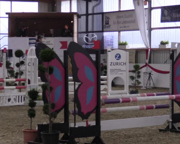 Reitturnier Rhede-Krommert 2017