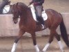 dressage horse Fürst Longchamp (Hanoverian, 2011, from Fürst Nymphenburg)