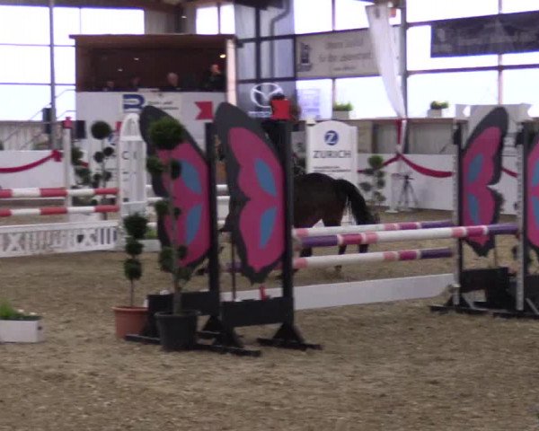 Reitturnier Rhede-Krommert 2017