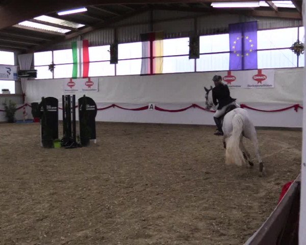 Reitturnier Rhede-Krommert 2017