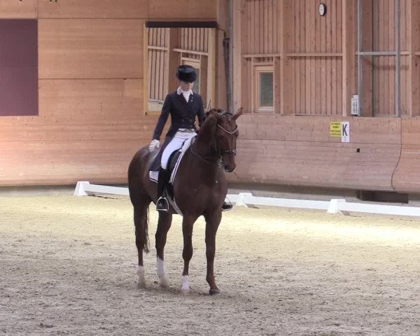 Reitturnier Leudelange-Ecuries des Prés 2017