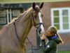 jumper Qaboom van de Bucxtale (Belgian Warmblood, 2016, from Kannan)