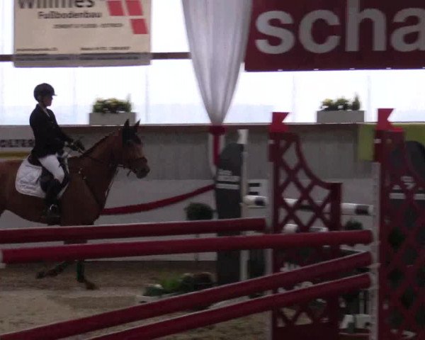 Reitturnier Rhede-Krommert 2017