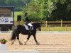 dressage horse Curly (unknown, 2002)