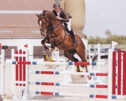 jumper Granny de Goedereede (Belgian Warmblood, 2006, from Calvaro Z)