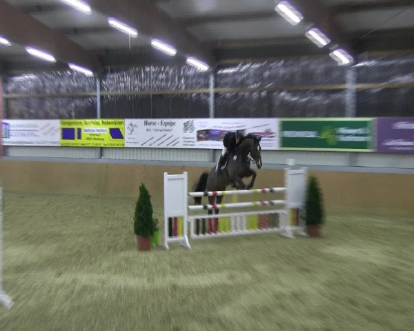 Reitturnier Altenberge 2017