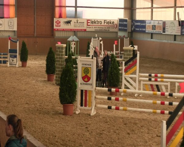 Reitturnier Altenberge 2017