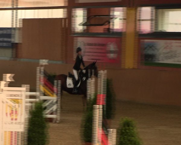 Reitturnier Altenberge 2017