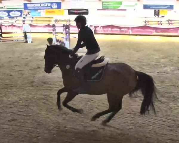 Reitturnier Eicherloh RH Laurent 2017