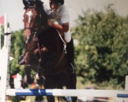 broodmare Sissi du Battandet CH (Swiss Warmblood, 1997, from Sandrigo)