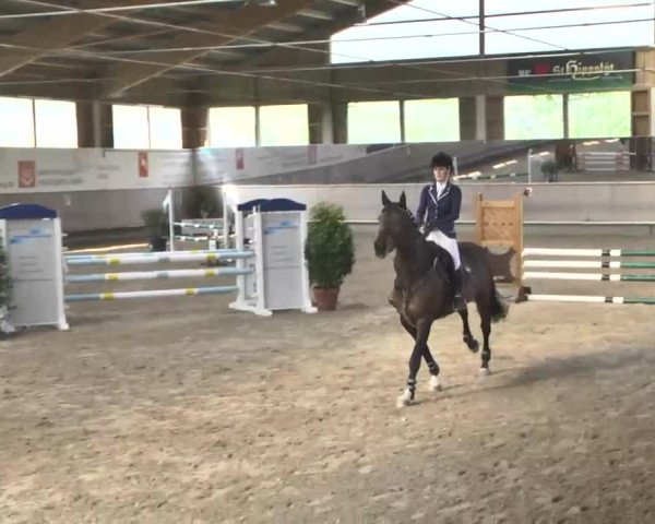 Reitturnier Walldorf 2017