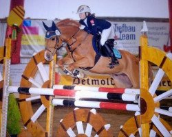 Springpferd Chopin 75 (Deutsches Reitpony, 1998, von Churchill)