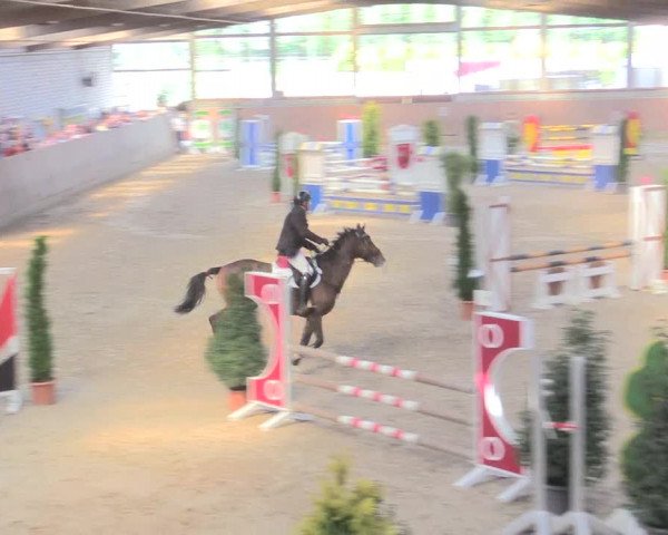 Reitturnier Leverkusen-Rheindorf 2017