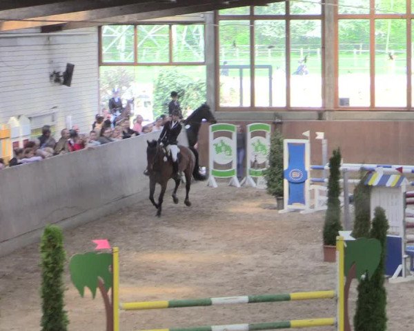 Reitturnier Leverkusen-Rheindorf 2017
