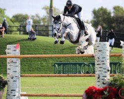 jumper Gin Chin van het Lindenhof (Belgian Warmblood, 2006, from Chin Chin)