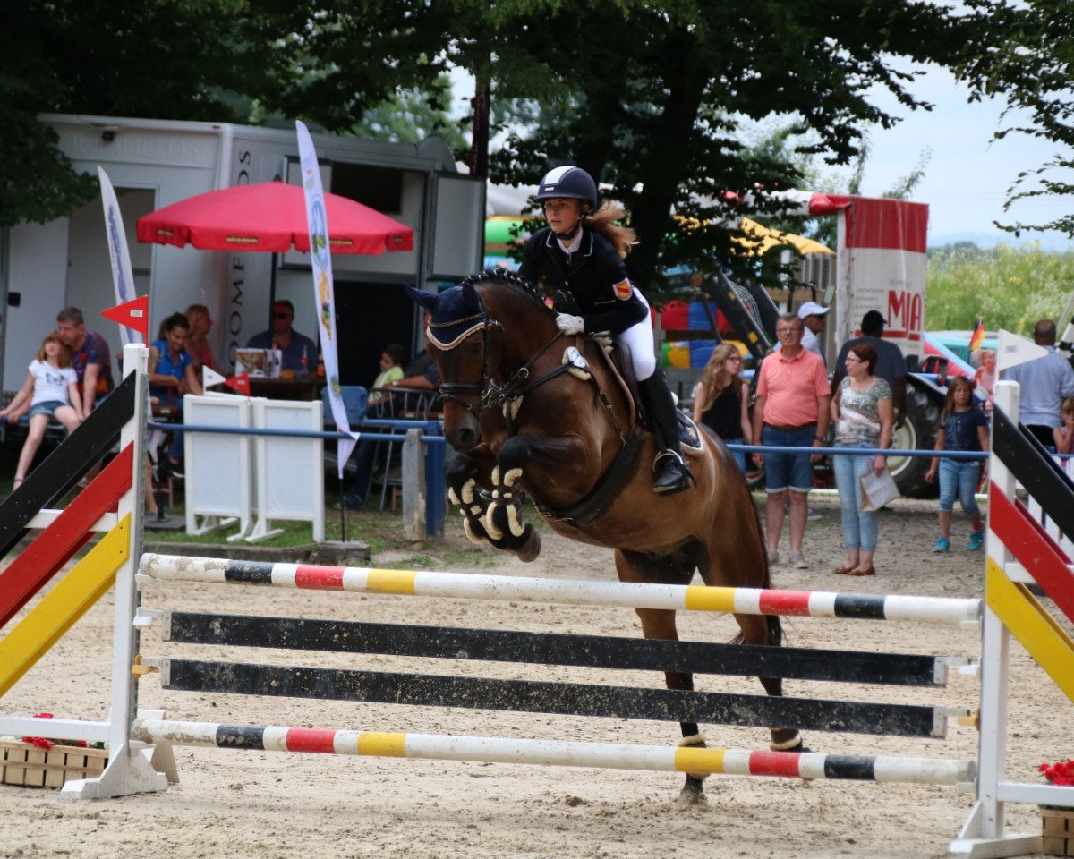 Springpferd Camelot de Blonde (Französisches Pony, 2012, von Grafenstolz)