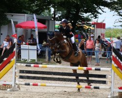 jumper Camelot de Blonde (French Pony, 2012, from Grafenstolz)