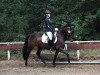 dressage horse Pferdeschulzes Happy (German Riding Pony, 2007, from Auheim's Maximus)