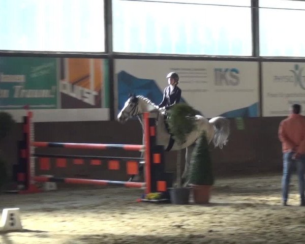 Reitturnier Jüchen-Waat 2017