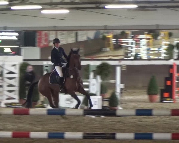 Reitturnier Jüchen-Waat 2017