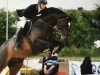 jumper Firavun du Nil (Belgium Sporthorse, 2011, from Arko III)