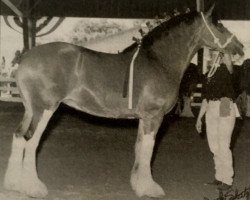 broodmare Pine Lake Janie (Clydesdale, 1992, from Dakota Sheyenne)